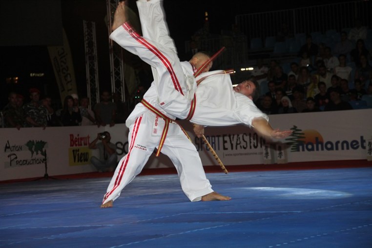 Martial Arts Festival